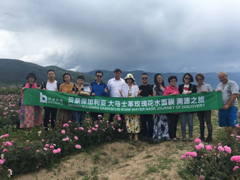 Beihao Biotechnology Array image7