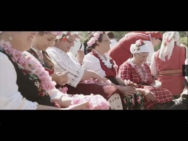 Beihao Biotechnology Array image25