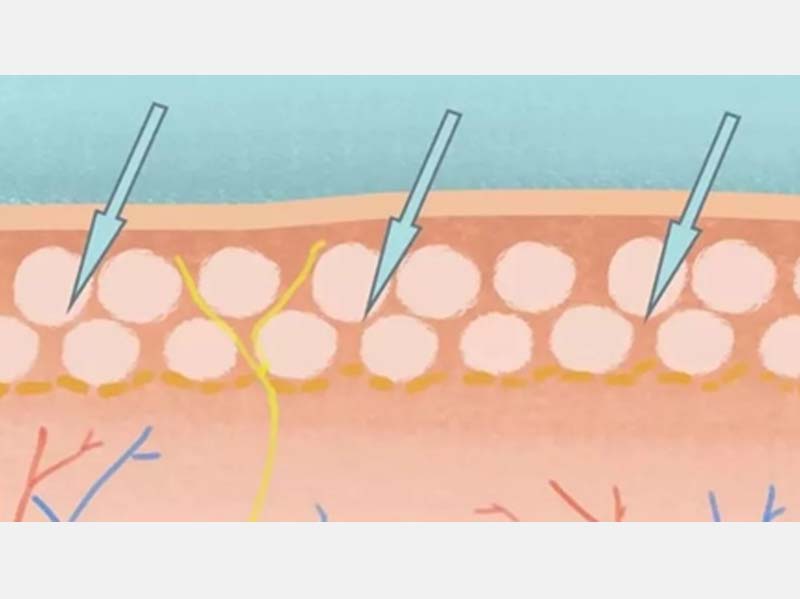 Beihao Biotechnology Array image27